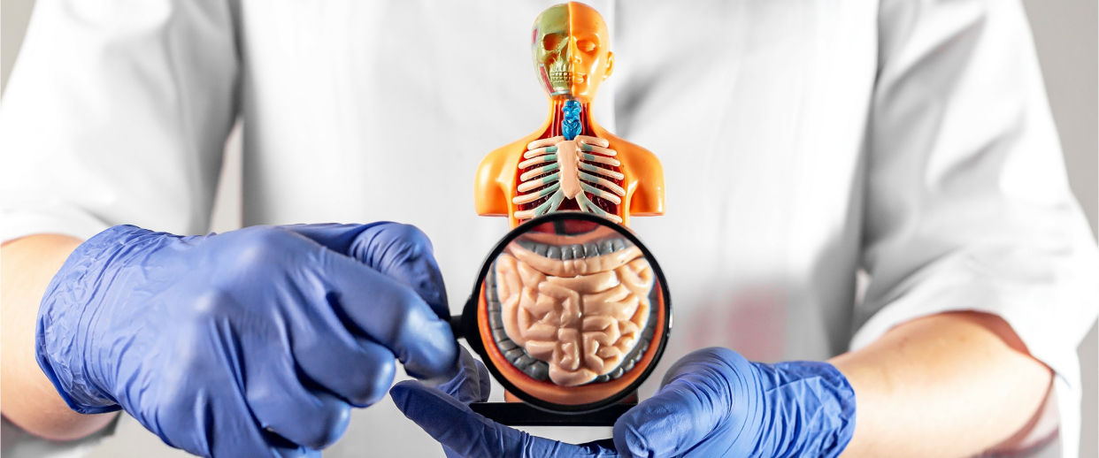 Problemas gastrointestinais: quando seu corpo pede socorro